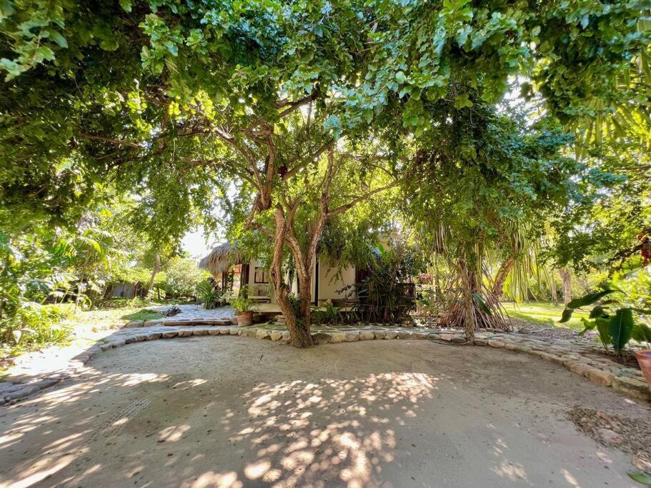 Villa Casa Kuul, Elegant Fusion Of House And Garden. Puerto Escondido  Exterior foto